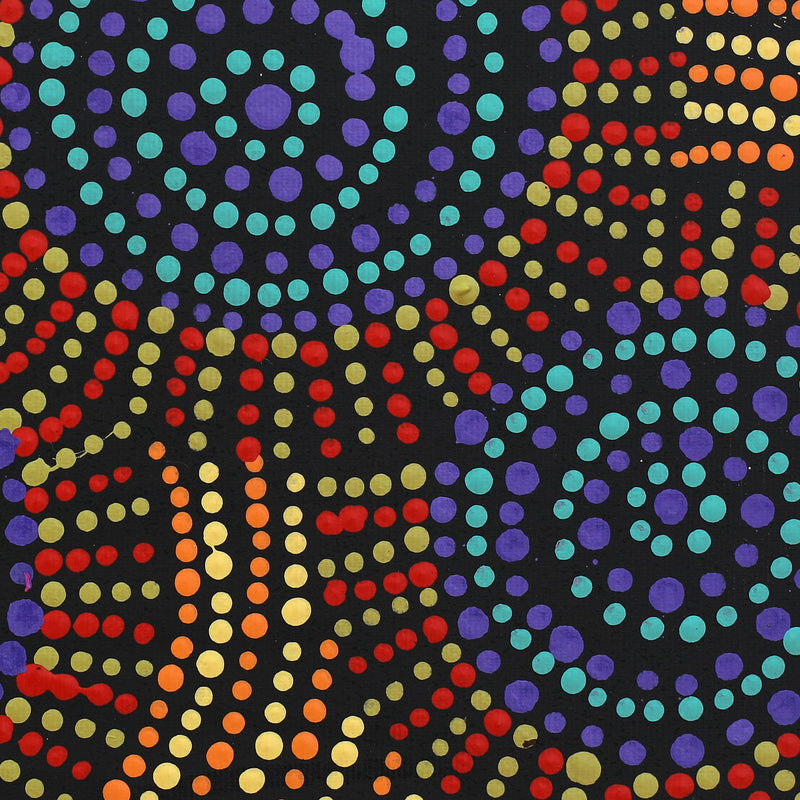 Aboriginal Artwork by Tina Napangardi Martin, Jinti-parnta Jukurrpa, 30x30cm