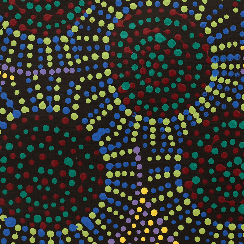 Aboriginal Artwork by Tina Napangardi Martin, Jinti-parnta Jukurrpa, 30x30cm