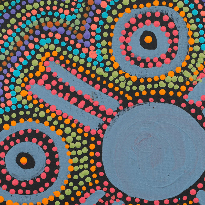 Aboriginal Artwork by Tina Napangardi Martin, Jinti-parnta Jukurrpa, 30x30cm
