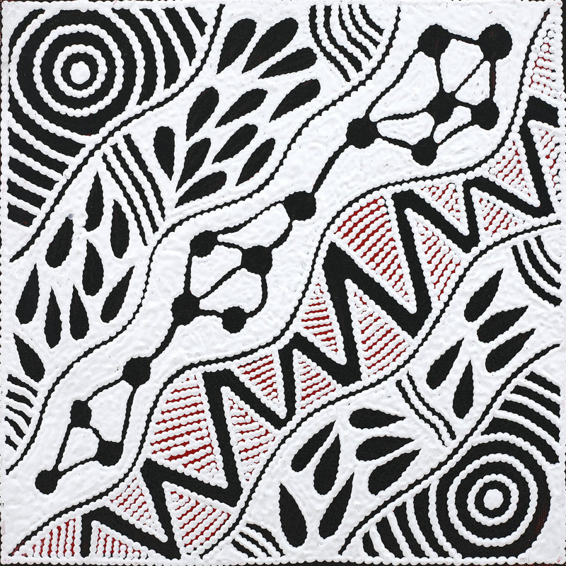 Aboriginal Artwork by Ursula Napangardi Hudson, Pikilyi Jukurrpa (Vaughan Springs Dreaming), 30x30cm
