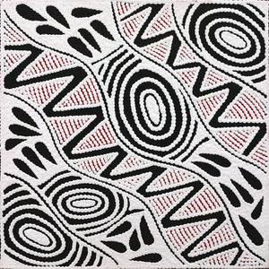 Aboriginal Art by Ursula Napangardi Hudson, Pikilyi Jukurrpa (Vaughan Springs Dreaming), 30x30cm - ART ARK®
