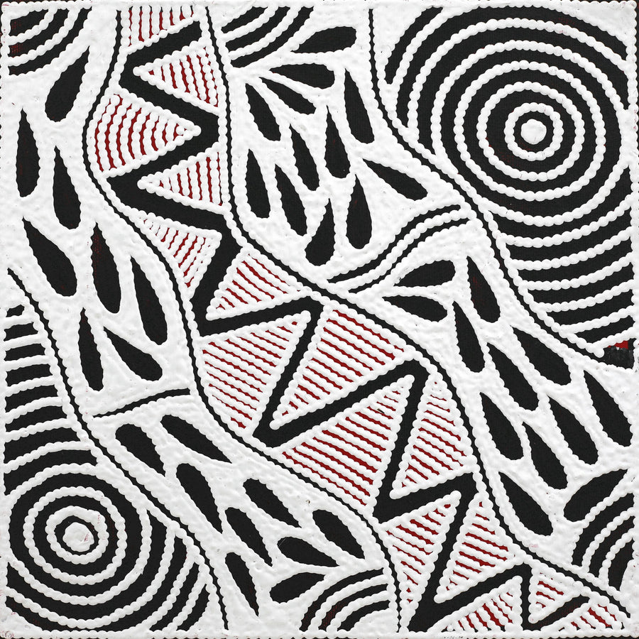 Aboriginal Artwork by Ursula Napangardi Hudson, Pikilyi Jukurrpa (Vaughan Springs Dreaming), 30x30cm