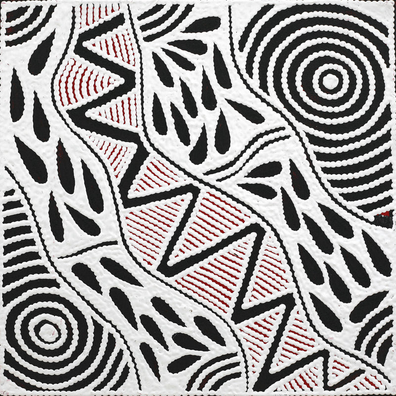 Aboriginal Artwork by Ursula Napangardi Hudson, Pikilyi Jukurrpa (Vaughan Springs Dreaming), 30x30cm