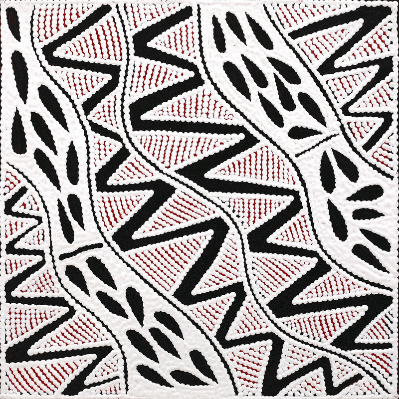 Aboriginal Artwork by Ursula Napangardi Hudson, Pikilyi Jukurrpa (Vaughan Springs Dreaming), 30x30cm