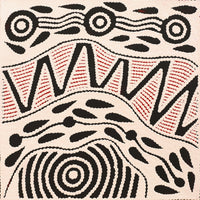 Aboriginal Artwork by Ursula Napangardi Hudson, Pikilyi Jukurrpa (Vaughan Springs Dreaming), 30x30cm