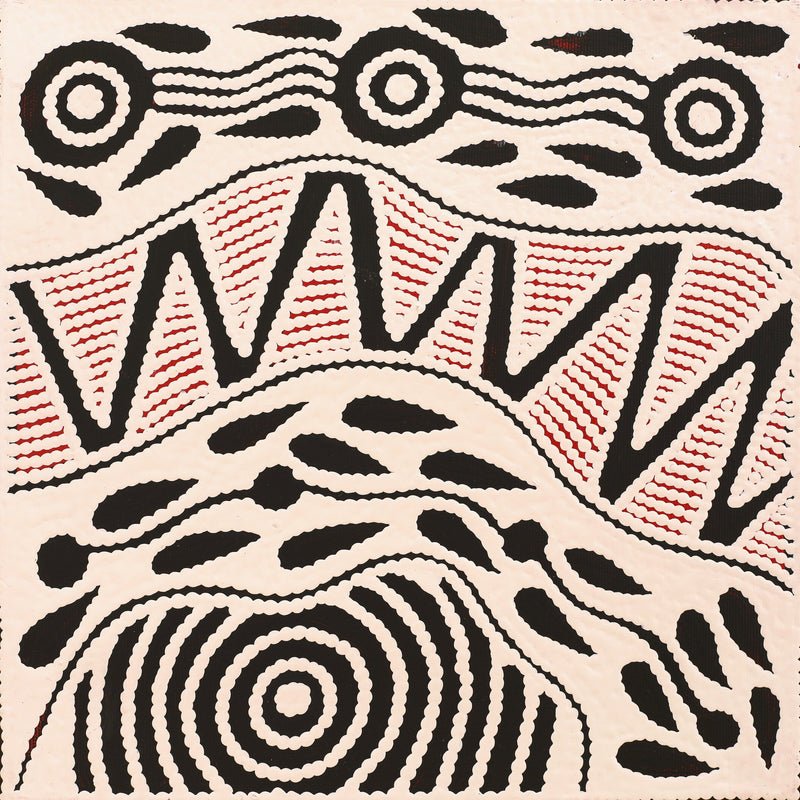 Aboriginal Artwork by Ursula Napangardi Hudson, Pikilyi Jukurrpa (Vaughan Springs Dreaming), 30x30cm
