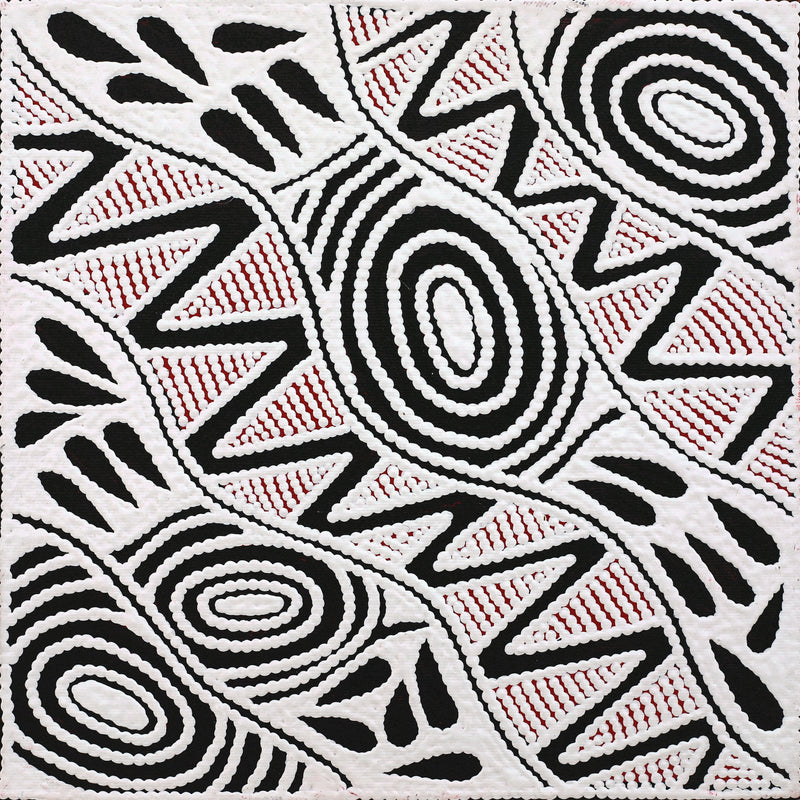 Aboriginal Artwork by Ursula Napangardi Hudson, Pikilyi Jukurrpa (Vaughan Springs Dreaming), 30x30cm