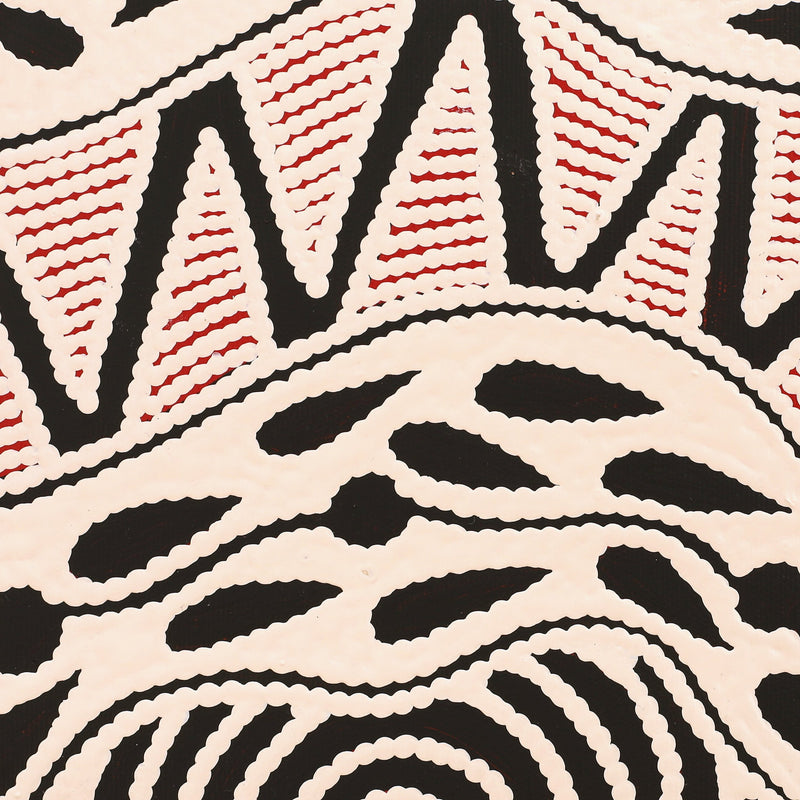 Aboriginal Artwork by Ursula Napangardi Hudson, Pikilyi Jukurrpa (Vaughan Springs Dreaming), 30x30cm