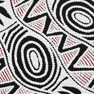 Aboriginal Art by Ursula Napangardi Hudson, Pikilyi Jukurrpa (Vaughan Springs Dreaming), 30x30cm - ART ARK®