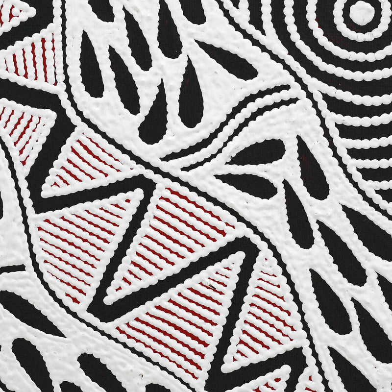 Aboriginal Artwork by Ursula Napangardi Hudson, Pikilyi Jukurrpa (Vaughan Springs Dreaming), 30x30cm