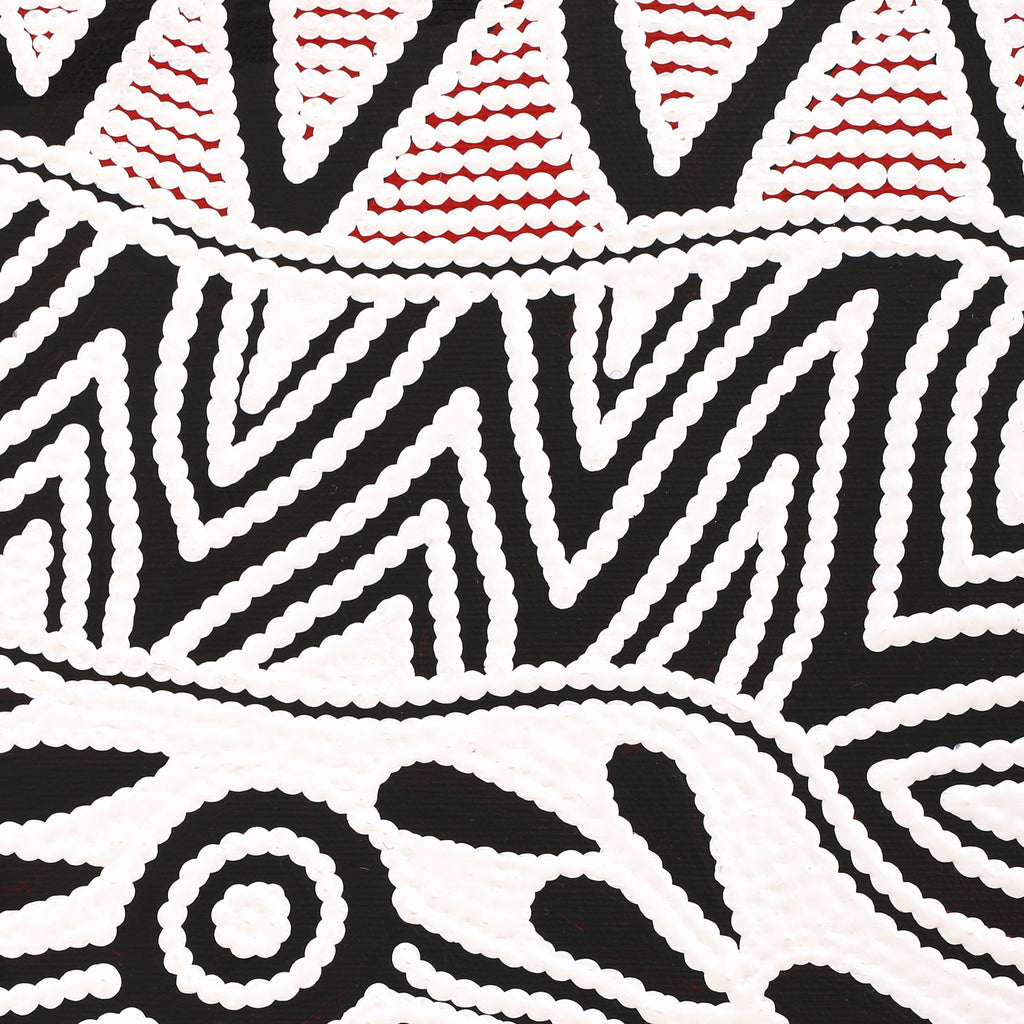 Aboriginal Artwork by Ursula Napangardi Hudson, Pikilyi Jukurrpa (Vaughan Springs Dreaming), 30x30cm