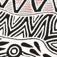 Aboriginal Artwork by Ursula Napangardi Hudson, Pikilyi Jukurrpa (Vaughan Springs Dreaming), 30x30cm