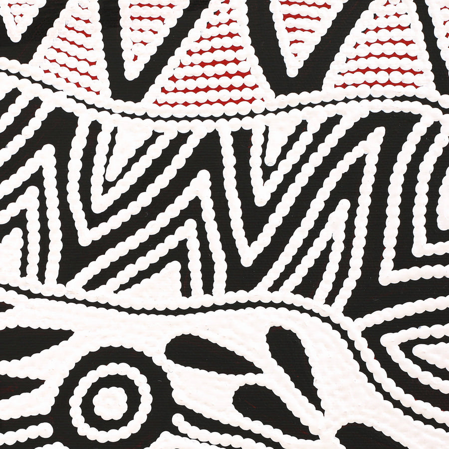Aboriginal Artwork by Ursula Napangardi Hudson, Pikilyi Jukurrpa (Vaughan Springs Dreaming), 30x30cm