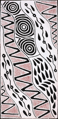 Aboriginal Artwork by Ursula Napangardi Hudson, Pikilyi Jukurrpa (Vaughan Springs Dreaming), 61x30cm