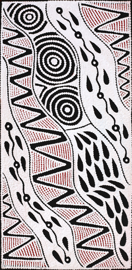 Aboriginal Artwork by Ursula Napangardi Hudson, Pikilyi Jukurrpa (Vaughan Springs Dreaming), 61x30cm