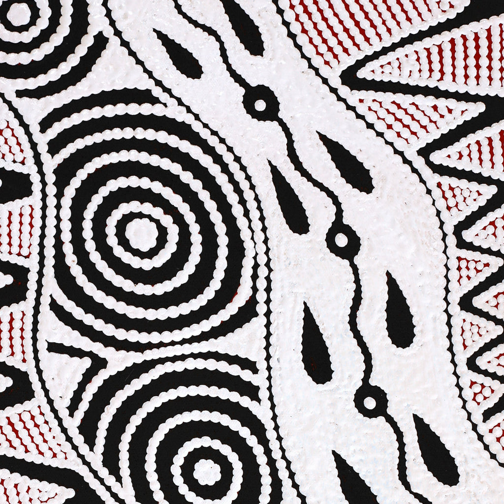 Aboriginal Artwork by Ursula Napangardi Hudson, Pikilyi Jukurrpa (Vaughan Springs Dreaming), 61x30cm