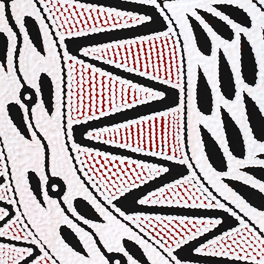 Aboriginal Artwork by Ursula Napangardi Hudson, Pikilyi Jukurrpa (Vaughan Springs Dreaming), 61x30cm