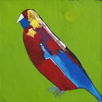 Aboriginal Artwork by Wilma Napangardi Poulson, Birds that live around Yuendumu, 61x61cm