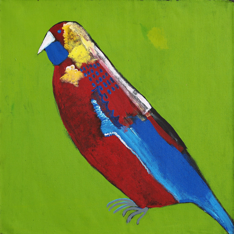 Aboriginal Artwork by Wilma Napangardi Poulson, Birds that live around Yuendumu, 61x61cm