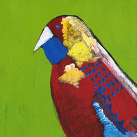 Aboriginal Artwork by Wilma Napangardi Poulson, Birds that live around Yuendumu, 61x61cm