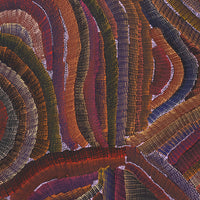 Aboriginal Artwork by Agnes Nampijinpa Brown, Ngapa Jukurrpa (Water Dreaming) - Mikanji, 183x122cm