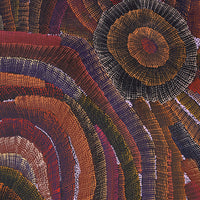 Aboriginal Artwork by Agnes Nampijinpa Brown, Ngapa Jukurrpa (Water Dreaming) - Mikanji, 183x122cm