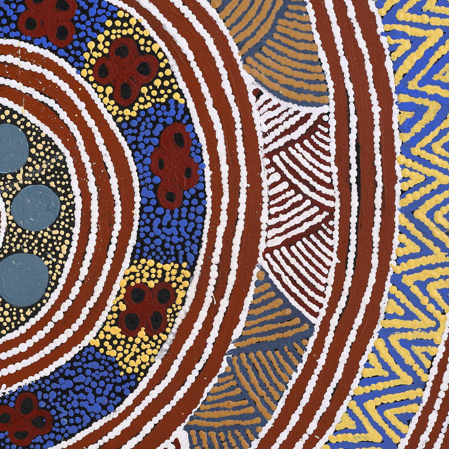 Aboriginal Artwork by Agnes Nampijinpa Fry, Pirlarla Jukurrpa (Dogwood Tree Bean Dreaming), 76x46cm