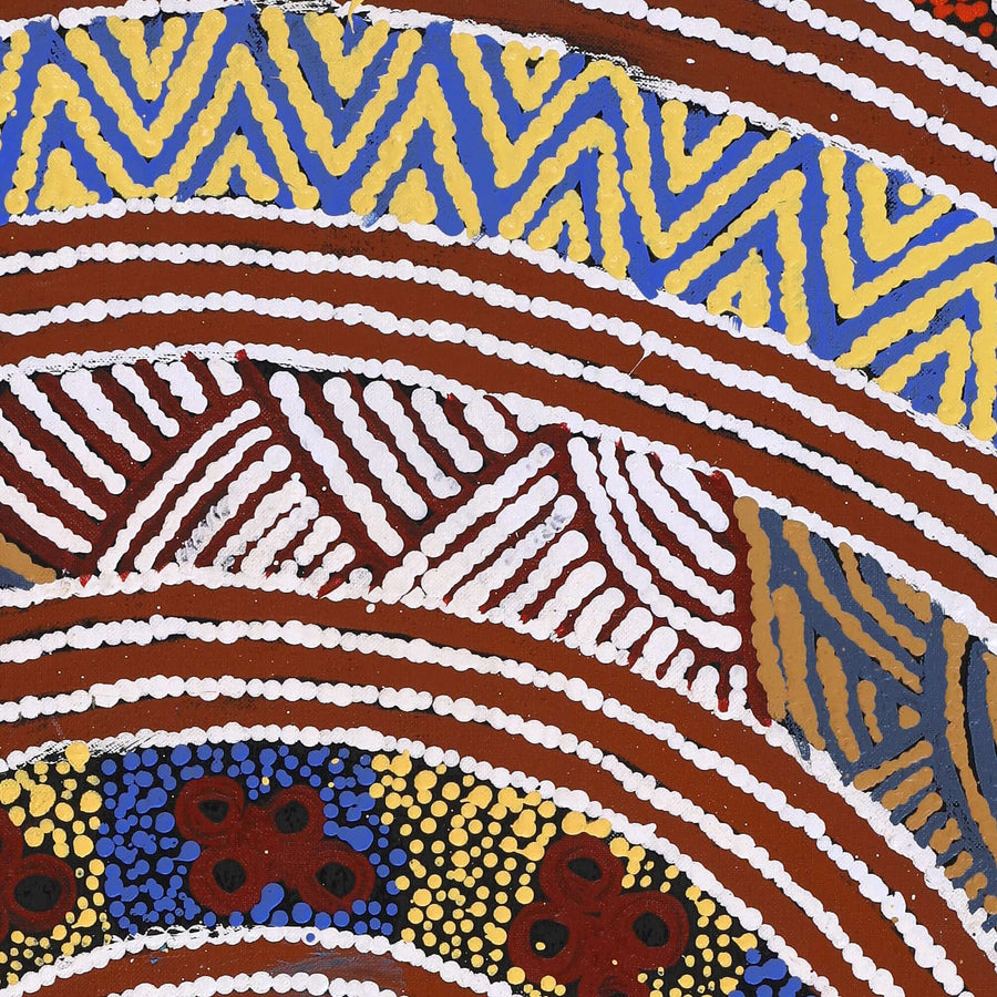 Aboriginal Artwork by Agnes Nampijinpa Fry, Pirlarla Jukurrpa (Dogwood Tree Bean Dreaming), 76x46cm