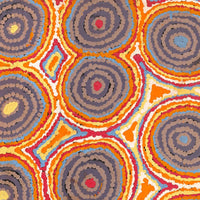 Aboriginal Artwork by Alice Nampijinpa Michaels, Lappi Lappi Jukurrpa, 91x46cm