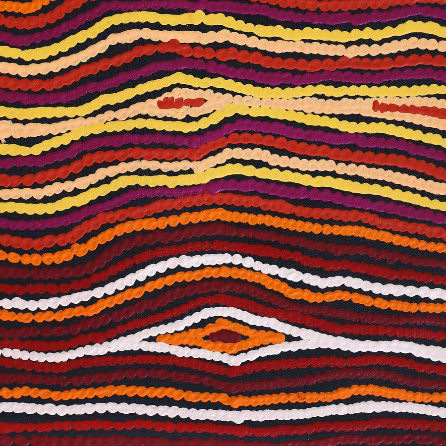 Aboriginal Artwork by Antonia Napangardi Michaels, Lappi Lappi Jukurrpa, 61x46cm