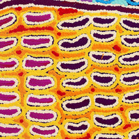 Aboriginal Artwork by Antonia Napangardi Michaels, Lappi Lappi Jukurrpa, 61x46cm
