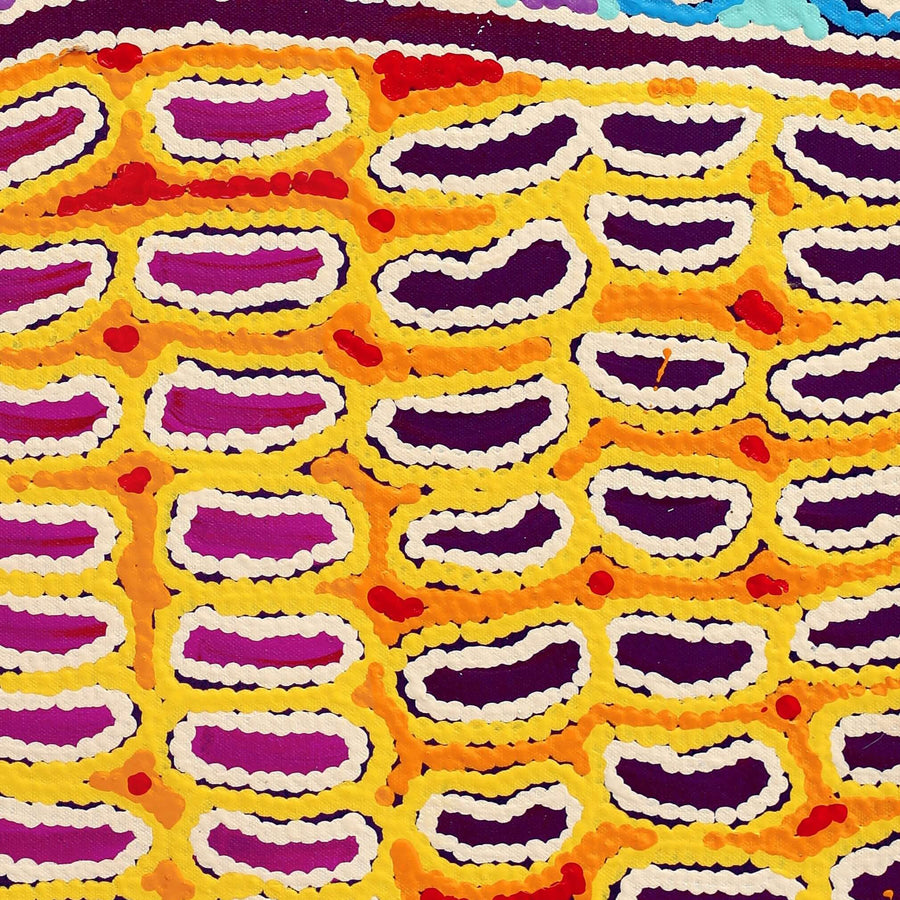 Aboriginal Artwork by Antonia Napangardi Michaels, Lappi Lappi Jukurrpa, 61x46cm