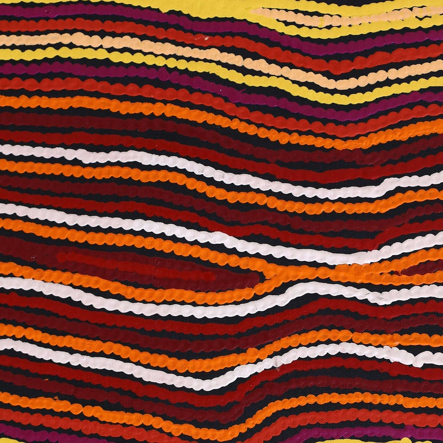 Aboriginal Artwork by Antonia Napangardi Michaels, Lappi Lappi Jukurrpa, 61x46cm