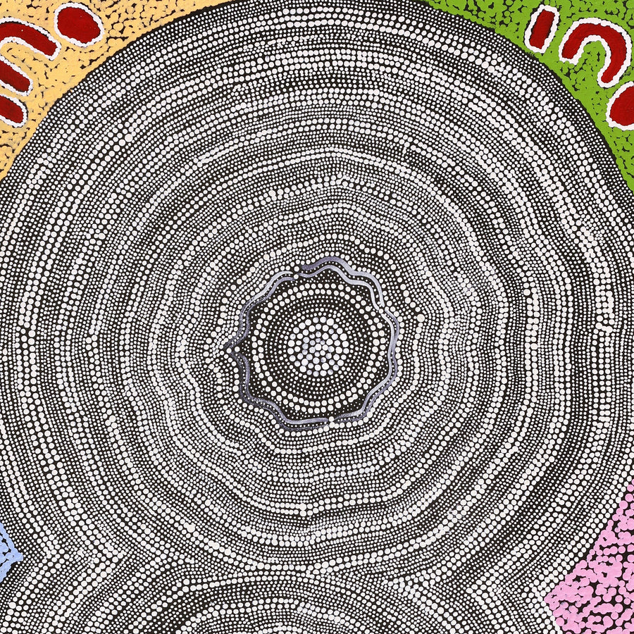 Aboriginal Artwork by Catherine Nungarrayi Malbunka, Mina Mina Jukurrpa (Mina Mina Dreaming), 122x61cm