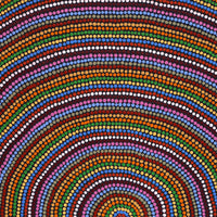 Aboriginal Artwork by Catherine Nungarrayi Malbunka, Mina Mina Jukurrpa (Mina Mina Dreaming), 91x46cm