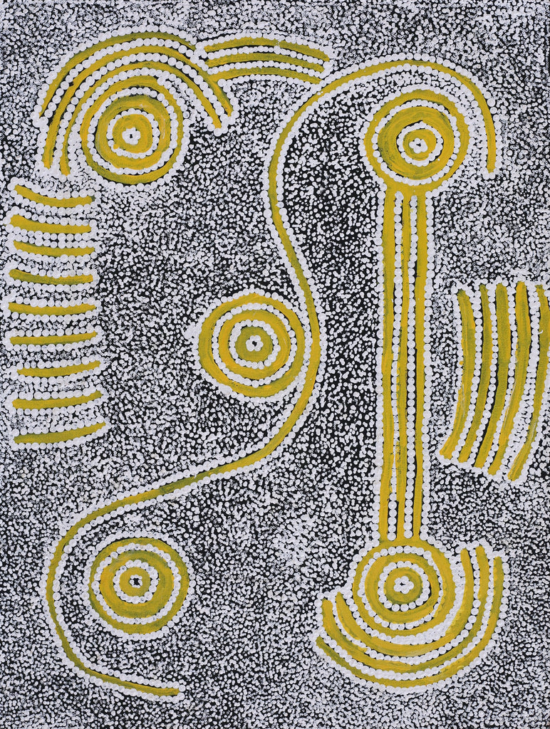 Aboriginal Artwork by Cecily Napanangka Granites, Karnta Jukurrpa (Womens Dreaming), 61x46cm