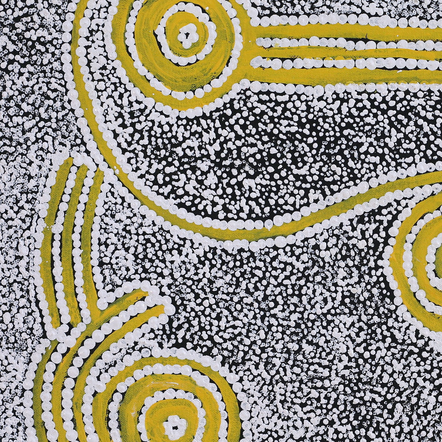Aboriginal Artwork by Cecily Napanangka Granites, Karnta Jukurrpa (Womens Dreaming), 61x46cm