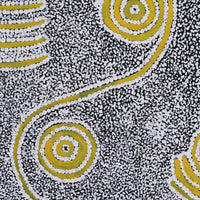 Aboriginal Artwork by Cecily Napanangka Granites, Karnta Jukurrpa (Womens Dreaming), 61x46cm