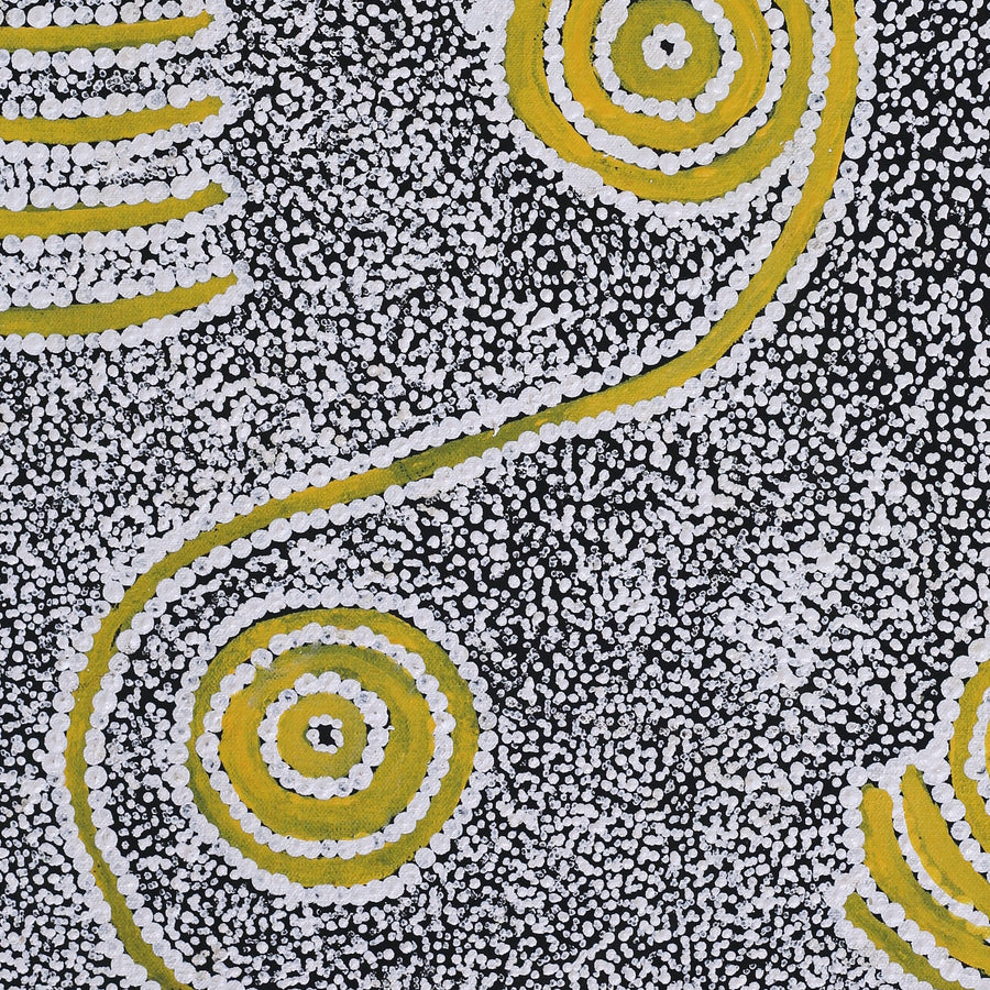Aboriginal Artwork by Cecily Napanangka Granites, Karnta Jukurrpa (Womens Dreaming), 61x46cm