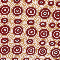Aboriginal Artwork by Cecily Napanangka Marshall, Pikilyi Jukurrpa (Vaughan Springs Dreaming), 122x61cm