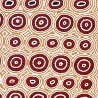 Aboriginal Artwork by Cecily Napanangka Marshall, Pikilyi Jukurrpa (Vaughan Springs Dreaming), 122x61cm