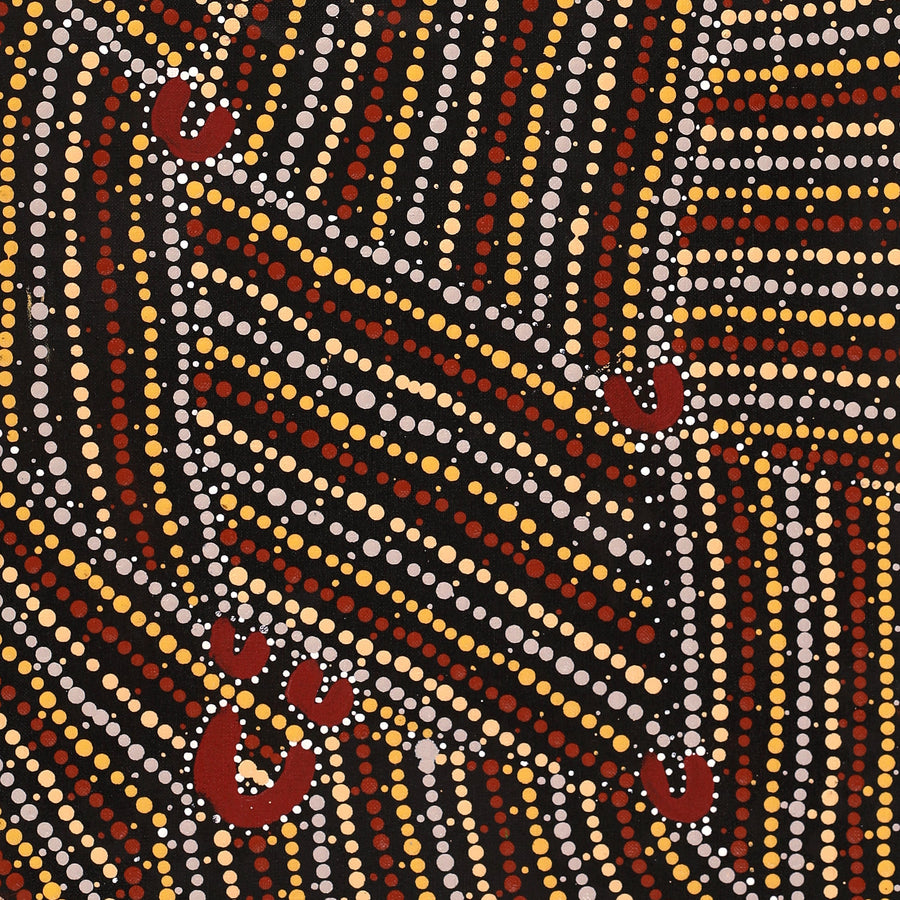 Aboriginal Artwork by Celestine Nungarrayi Tex, Lappi Lappi Jukurrpa, 76x30cm