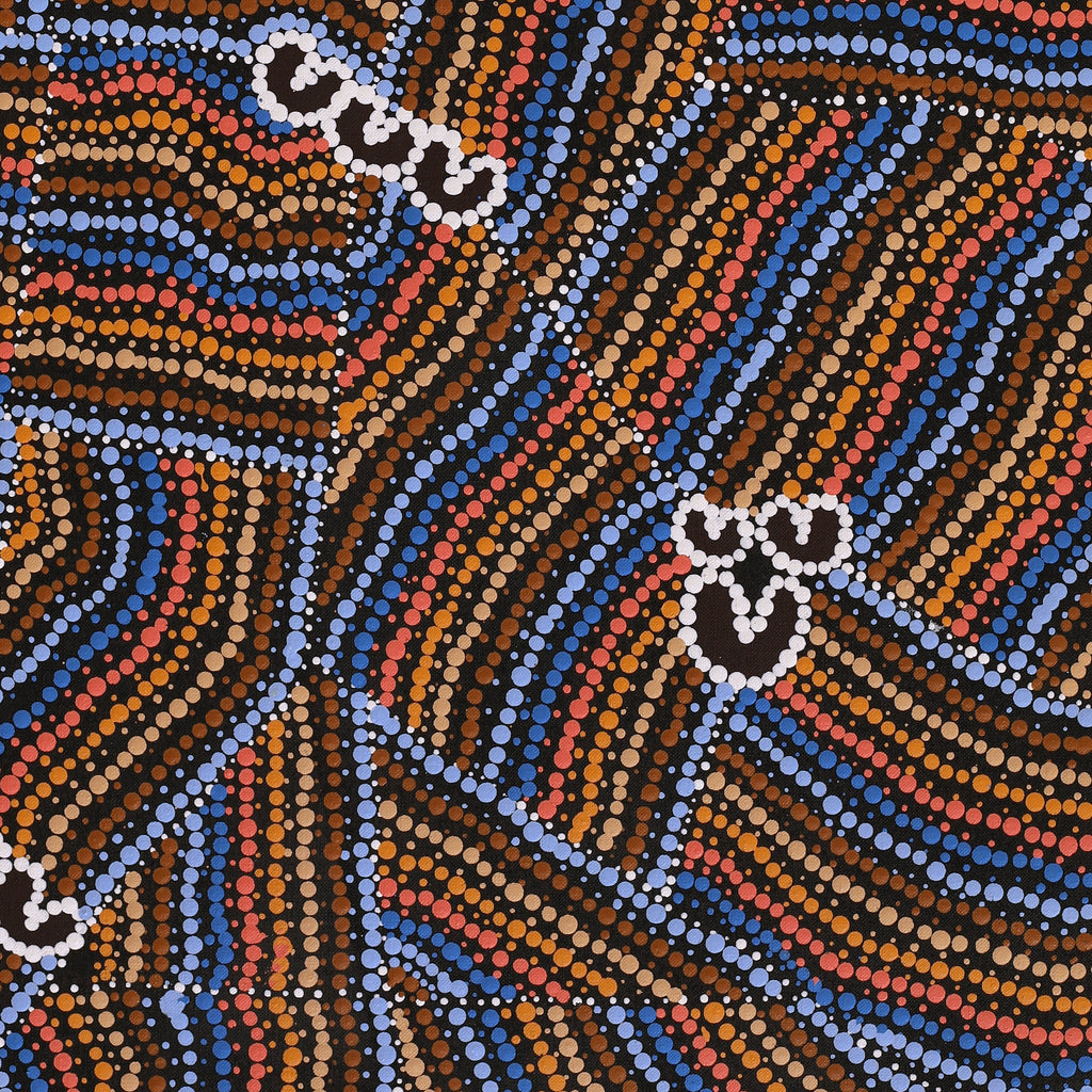 Aboriginal Artwork by Celestine Nungarrayi Tex, Lappi Lappi Jukurrpa, 76x46cm