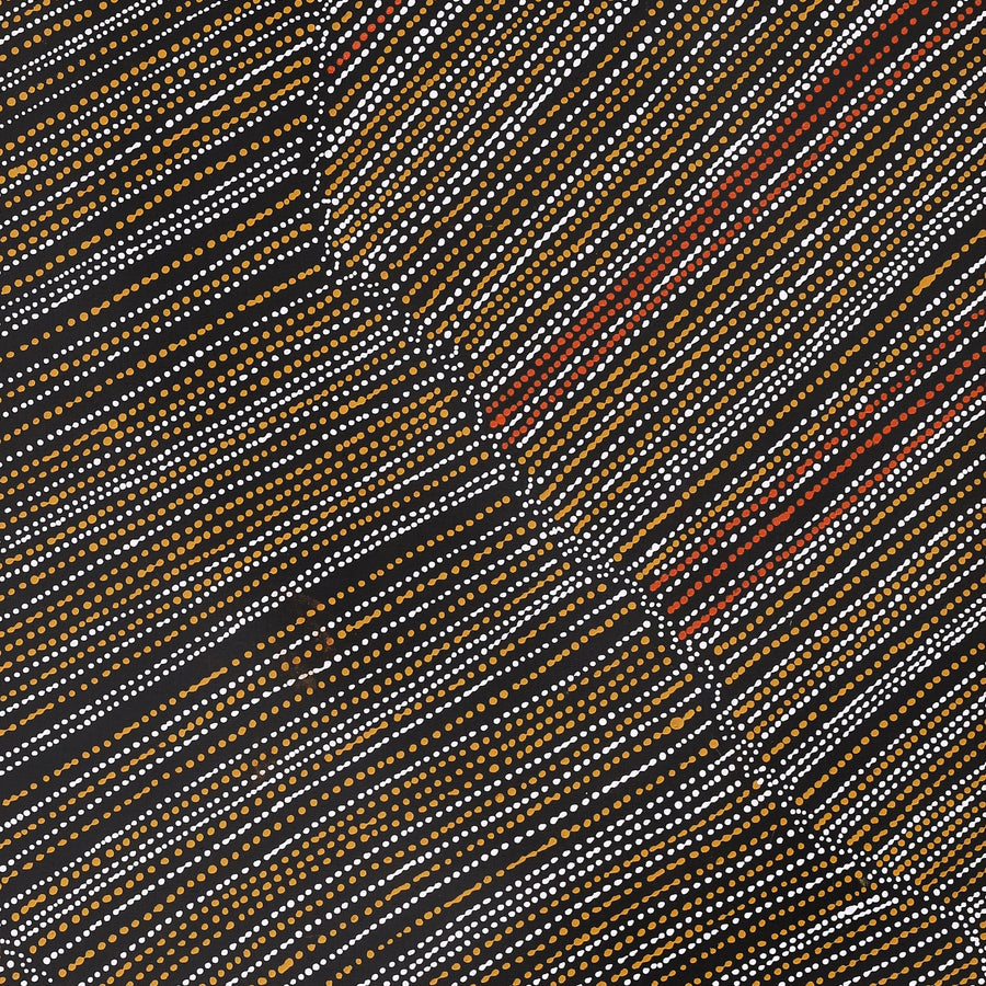 Aboriginal Artwork by Chantelle Nampijinpa Robertson, Ngapa Jukurrpa (Water Dreaming) - Puyurru, 107x91cm