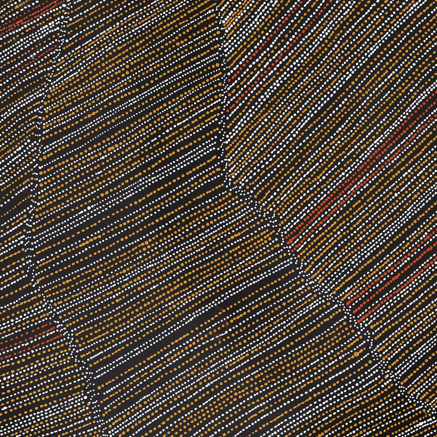 Aboriginal Artwork by Chantelle Nampijinpa Robertson, Ngapa Jukurrpa (Water Dreaming) - Puyurru, 107x91cm