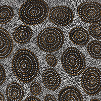 Aboriginal Artwork by Chantelle Nampijinpa Robertson, Ngapa Jukurrpa (Water Dreaming) - Puyurru, 61x46cm