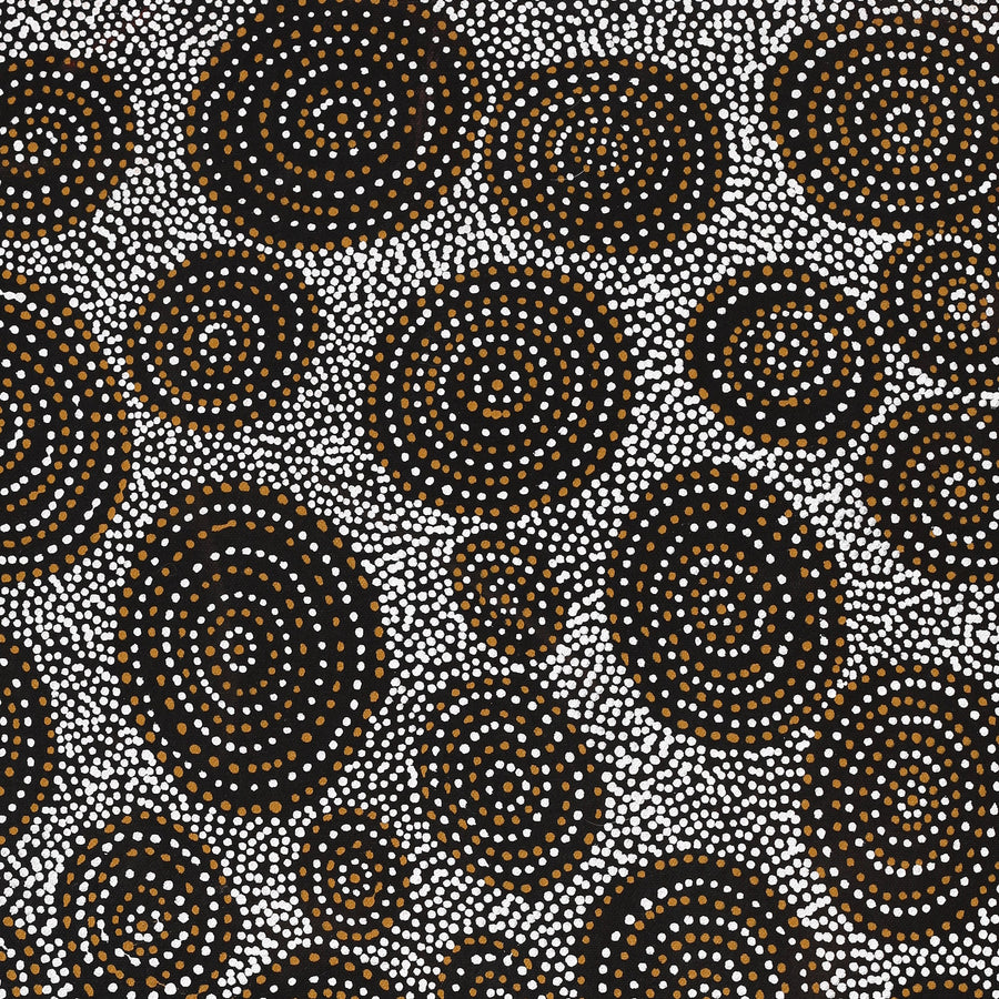 Aboriginal Artwork by Chantelle Nampijinpa Robertson, Ngapa Jukurrpa (Water Dreaming) - Puyurru, 61x46cm