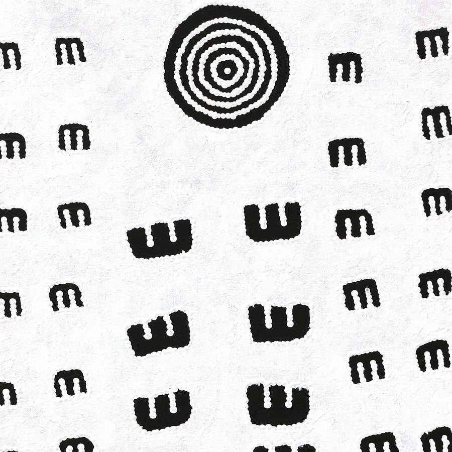 Aboriginal Artwork by Chris Japanangka Michaels, Janganpa Jukurrpa - Mawurrji, 122x46cm