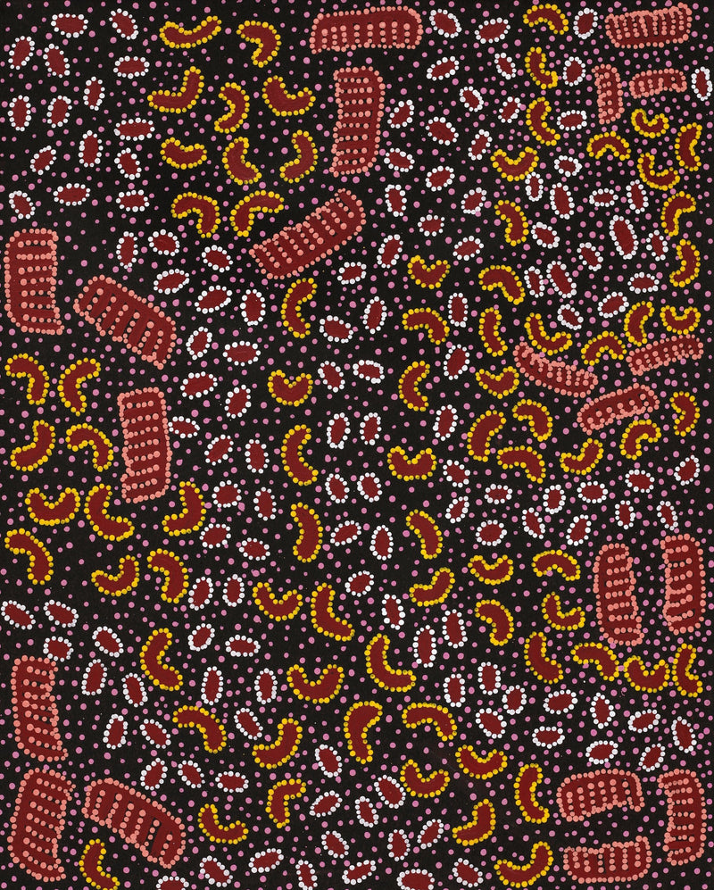 Aboriginal Artwork by Christine Nungarrayi Brown, Karnta Jukurrpa (Womens Dreaming), 76x61cm