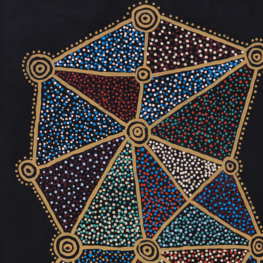 Aboriginal Artwork by Christopher Japangardi Michaels, Ngapa Jukurrpa (Water Dreaming) - Puyurru, 122x61cm